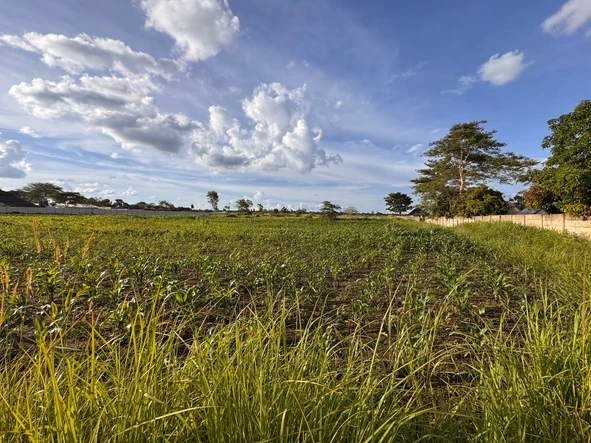 Commercial & Industrial Land