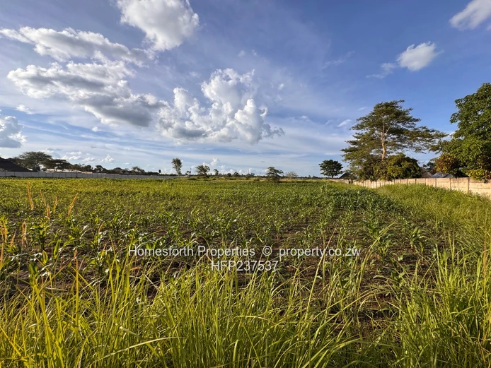 Norton: Zvimba Road 2 Hectare Plot for Sale (Sole Mandate)