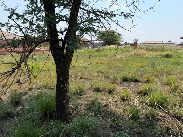 Stands & Residential Land