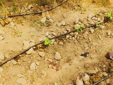 Farm & Agricultural Land