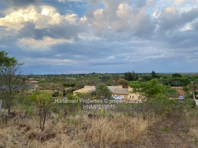 Kwekwe Msasa/ Golden Acres