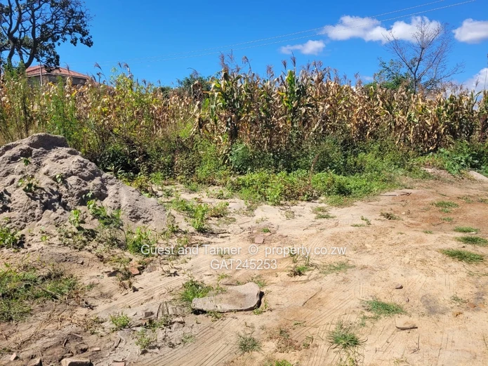 Stand For Sale  In Crowhill