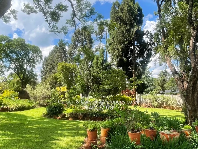 Investors Dream !!!! 2026 New Grab 