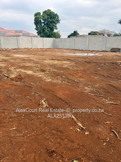 Smart Investment, Premium Location