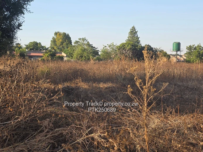 Mount Pleasant Heights Stand For Sale