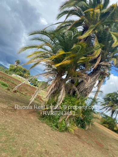 Ideal For Cluster Development 