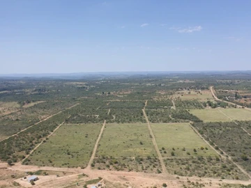 Farm & Agricultural Land