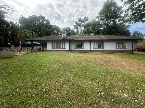 Elegant  house needs tlc