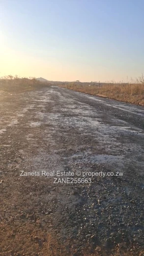 Spitzkop stand for sale