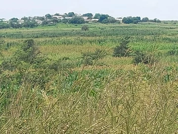 Commercial & Industrial Land