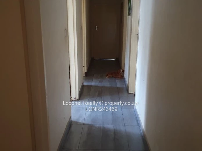 Spacious Greystone Park 4-Bed with Borehole