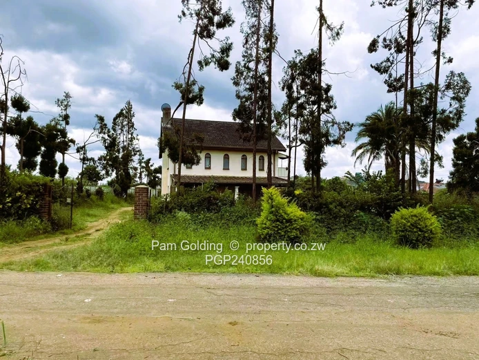 Time-Bound Sale with exceptional value