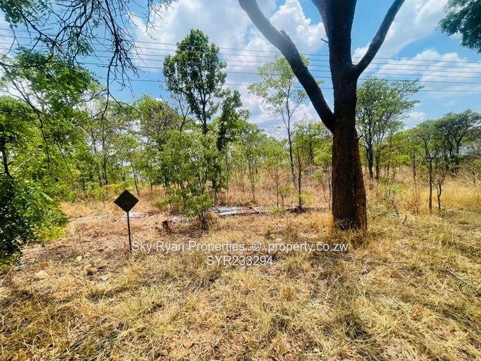 Glen Lorne  Stand For Sale (Sole Mandate)