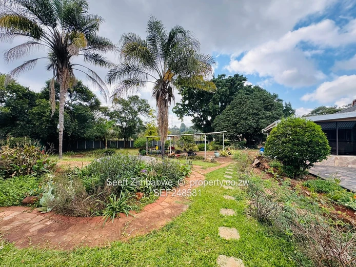Prime Rolf Valley: Massive 7-Bedroom Property with High-Yield Potential
