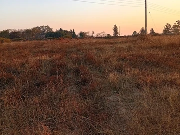 Commercial & Industrial Land