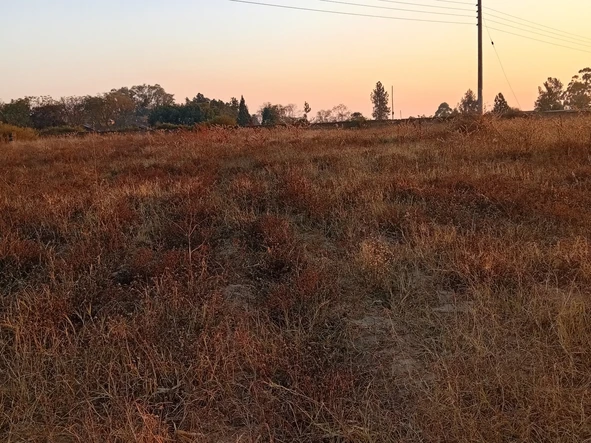 Commercial & Industrial Land