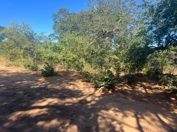 Victoria Falls commercial land for sale 