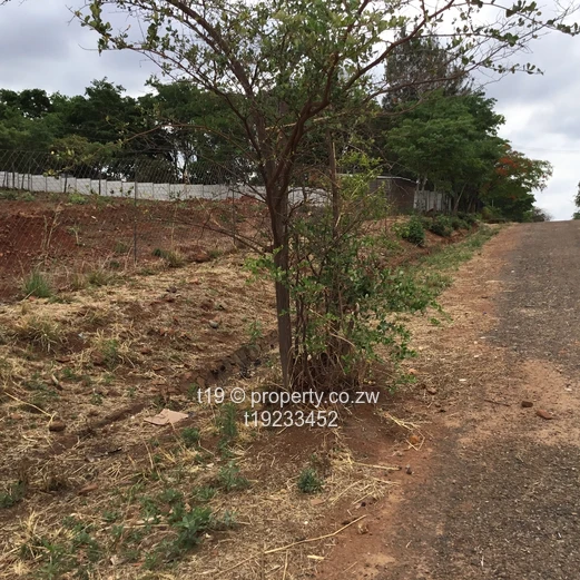 Build your dream home  (Sole Mandate)