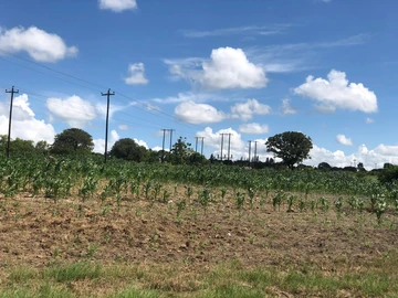 Commercial & Industrial Land