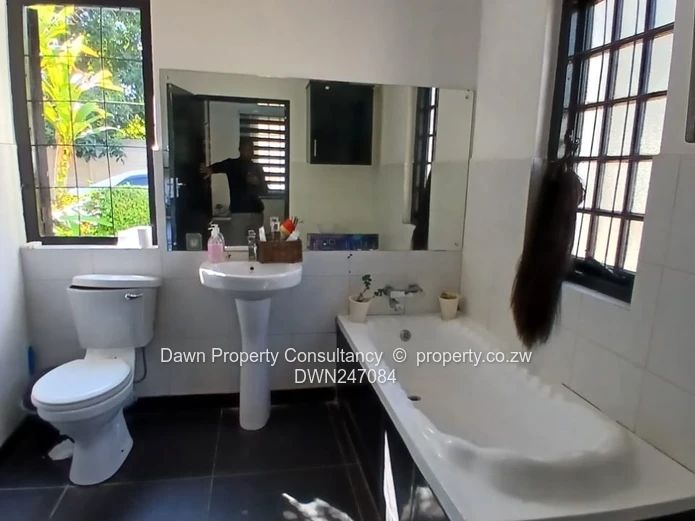 Prime Commercial– Alexandra Park, Churchill Avenue