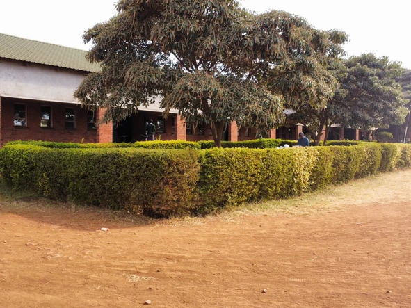 Commercial & Industrial Land