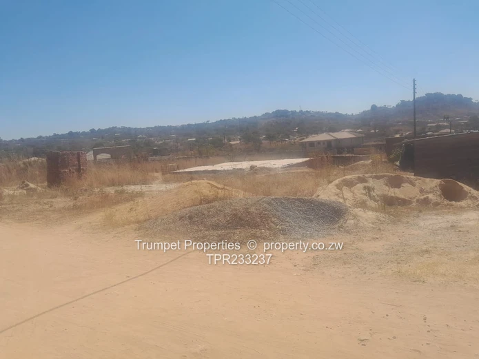 Stands For Sale In Crowhill (Sole Mandate)