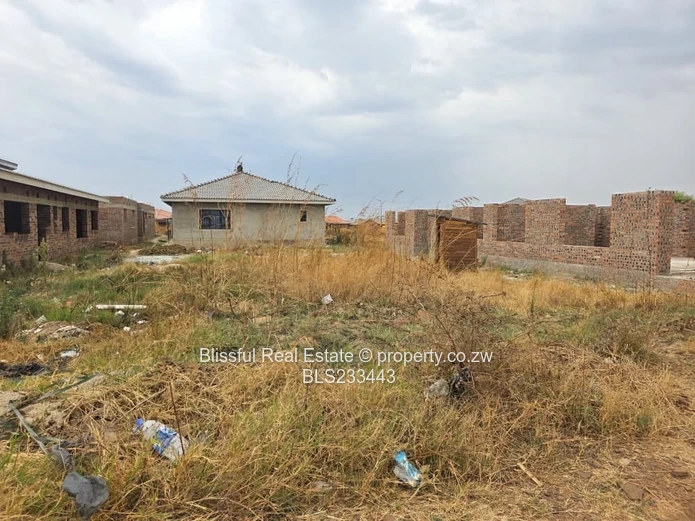 glaudina stand for sale