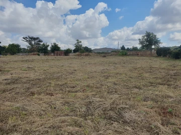 Land