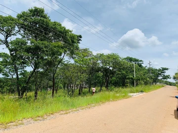 Chishawasha Hills Stand For Sale 