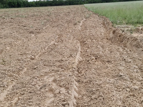Beatrice/Featherstone Farm For Sale 140 Hectares