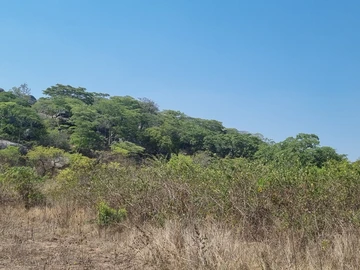 Farm & Agricultural Land