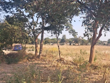 Farm & Agricultural Land