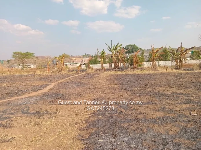 Ruwa Athelney Stands For Sale