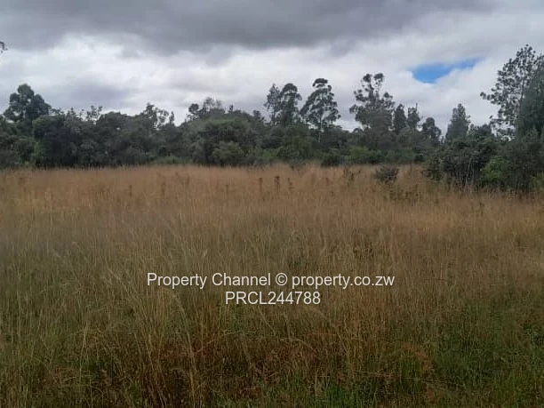 Prime Flat Agro Plot – Ideal for Farming, dwelling & Investment