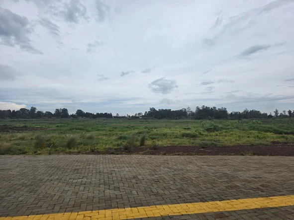 Commercial & Industrial Land