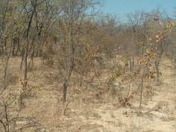 Farm & Agricultural Land