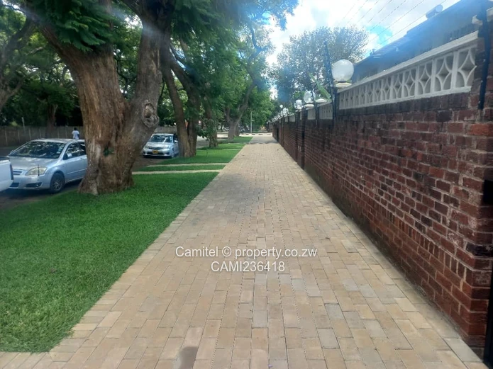 Avenues 3-Bed Garden Flat - Paved Drive, Lush Gardent at endernbroug 