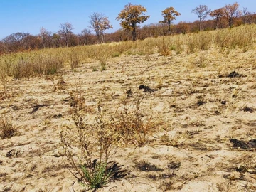 Farm & Agricultural Land