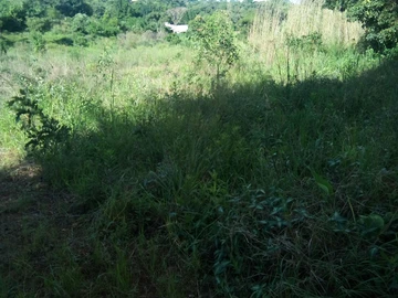 Chinhoyi 