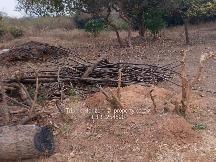 2060 sqm Prospect Stand — Main Road Frontage, Outbuilding