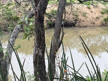 Farm & Agricultural Land