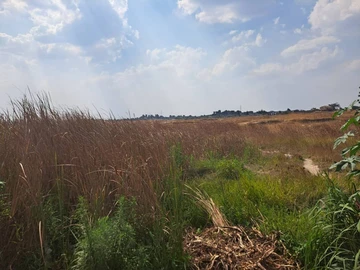 Commercial & Industrial Land