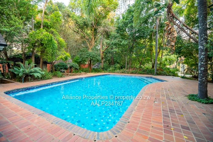 A magnificent opulent family home in Marlbrough (Sole Mandate)