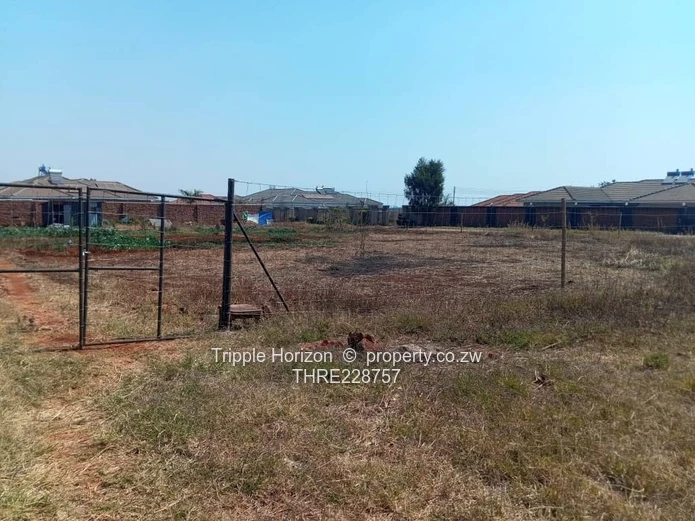 Investment opportunity 