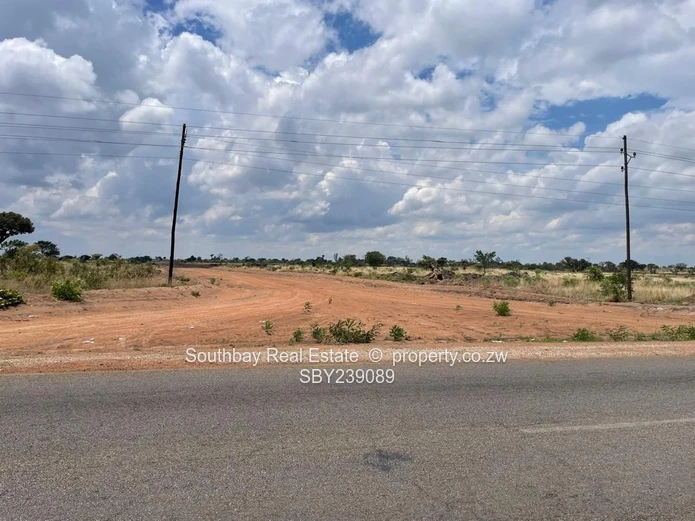 Investment Opportunity