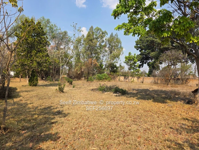 Hatfield: 4-Bed Home on 5,764 m² with Mature Trees