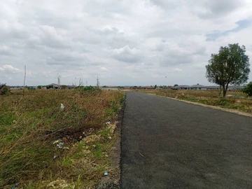 Stands & Residential Land