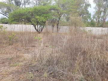 Farm & Agricultural Land