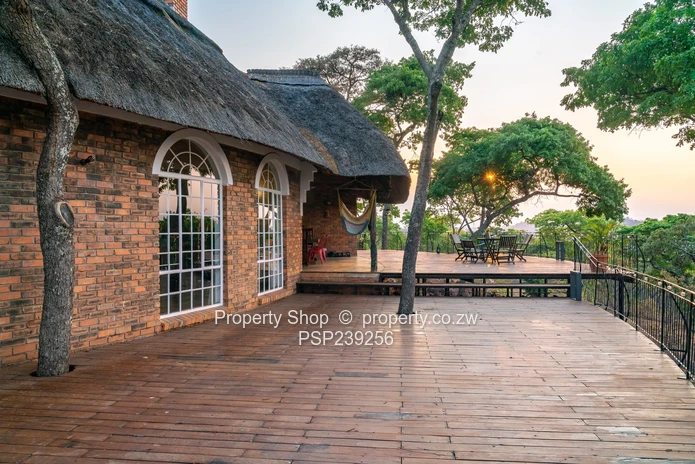 An Oasis Of Tranquility And Luxury