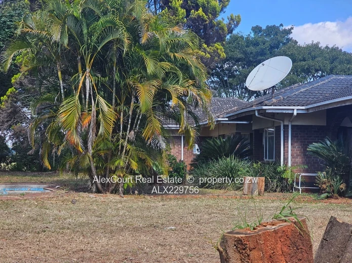 1.4 Hectare Property For Sale In HOGERTY HILL